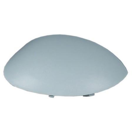 Coque de Rétro Droite Pour Peugeot 206 3/5 Portes CC SW Van 206+ Citroën