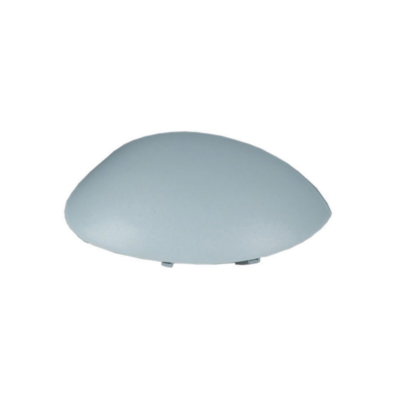 Coque de Rétro Droite Pour Peugeot 206 3/5 Portes CC SW Van 206+ Citroën