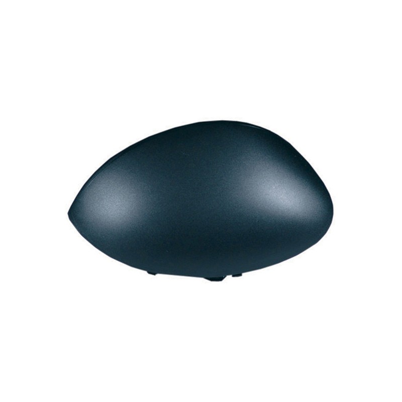 Coque de Rétro Droite Pour Peugeot 206 3/5 Portes CC SW Van 206+ Citroën