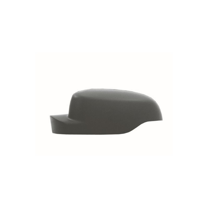 Coque de Rétro Gauche Pour Renault Clio III Grandtour Twingo II 7701071875