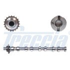 Arbre à Cames Pour Peugeot Fiat Ford C-Max Citroën 0801.AH 9655918480 1313805