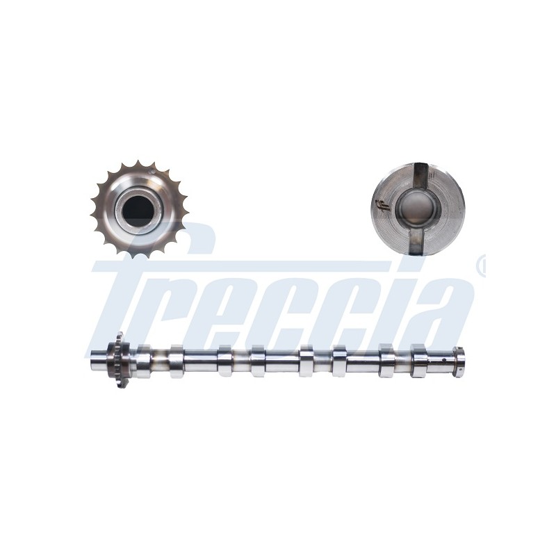 Arbre à Cames Pour Peugeot Fiat Ford C-Max Citroën 0801.AH 9655918480 1313805