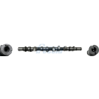Arbre à Cames Pour Renault IV Fluence Grand Scénic Kangoo Express Lodgy Logan