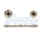 Arbre à Cames Pour Fiat Ducato  Bremach Iveco 504174770
