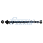 Arbre à Cames Pour Peugeot Ford Citroën DS 9804424180 1871342 D7SQ-6A270-BA