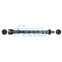 Arbre à Cames Pour Peugeot Ford Citroën DS 9804424280 1871343 D7SQ-6A273-BA