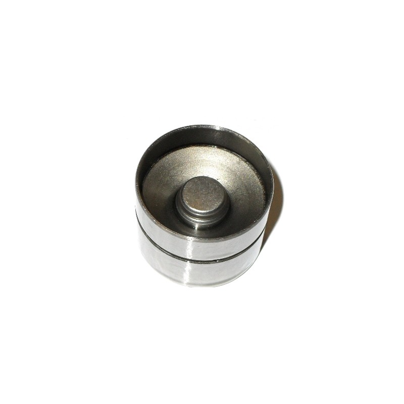 Poussoir de Soupape Pour VW Bora Audi Seat Ford 34109309 034109309N SE021012101A