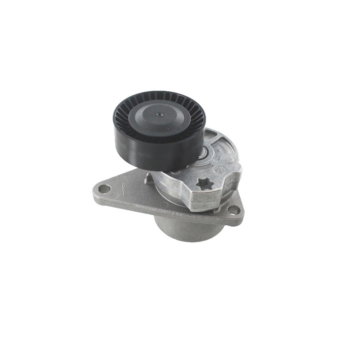 Tendeur De Courroie D'accessoire Pour Volvo C70 S40 S60 S70 S80 V40 V70 30757057