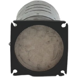 FAP Filtre à Particules Pour Peugeot 406 1731N7 174003