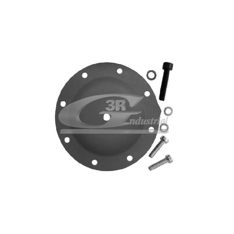 Kit Réparation Pompe à Vide Pour Peugeot 106 I 205 309 405 Renault Seat Fiat