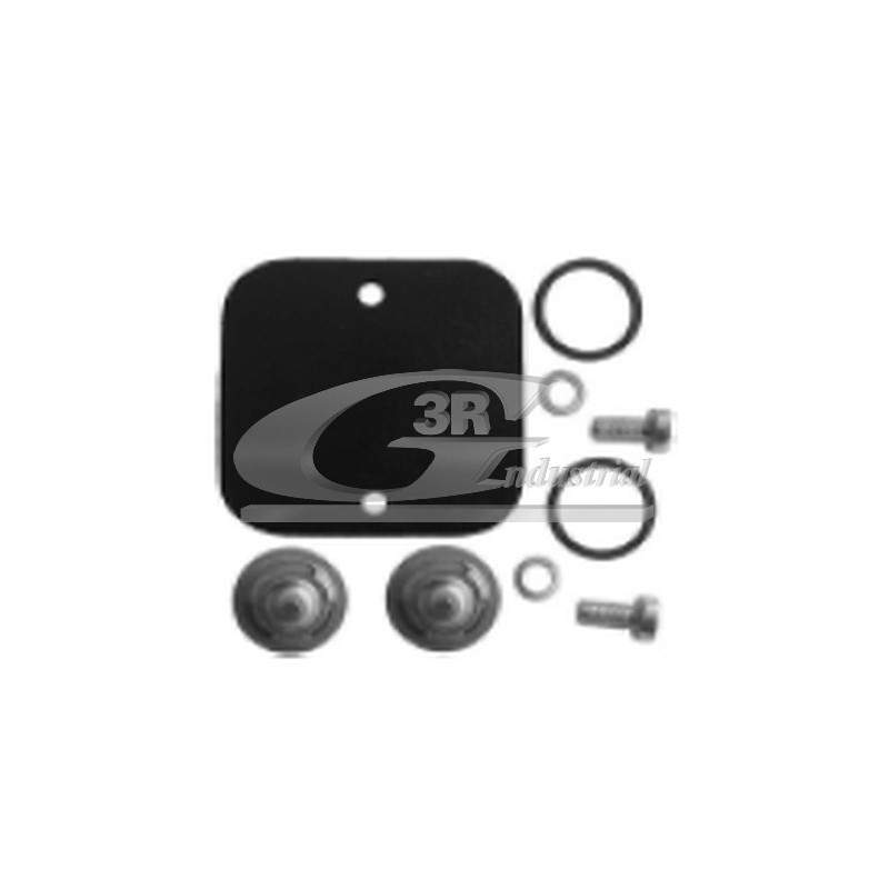 Kit Réparation Pompe à Vide Pour Peugeot 106 I 205 309 405 Renault Seat Fiat