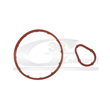 Joints de Pompe à Vide Pour Peugeot Ford Citroën Mazda 455616 1327236 455618