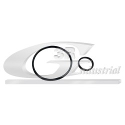 Joints de Pompe à Vide Pour Peugeot Fiat Ford Citroën 456569 9404599368 456579