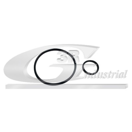 Joints de Pompe à Vide Pour Peugeot Fiat Ford Citroën 456569 9404599368 456579