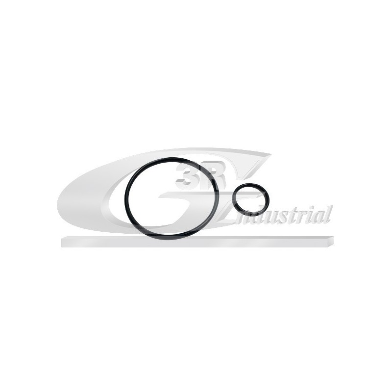Joints de Pompe à Vide Pour Peugeot Fiat Ford Citroën 456569 9404599368 456579