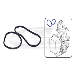 Joint Radiateur d'Huile Pour Renault Opel Nissan 7701062113 4431214 1513600Q0A