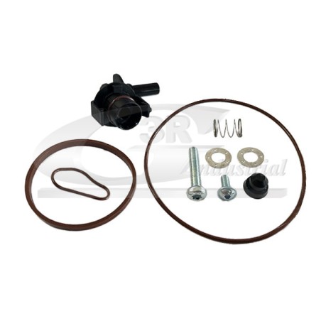 Kit Réparation Joints de Pompe à Vide Pour Peugeot Fiat Ford Citroën 455624