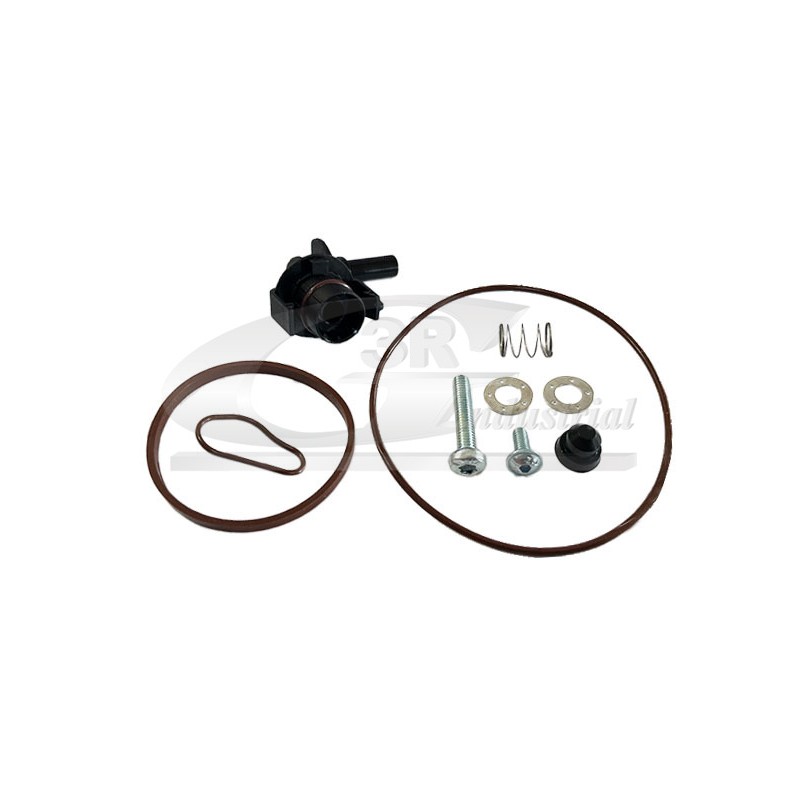 Kit Réparation Joints de Pompe à Vide Pour Peugeot Fiat Ford Citroën 455624