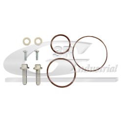 Kit Réparation Joints de Pompe à Vide Pour Peugeot Fiat Citroën Lancia 456561