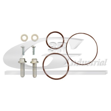 Kit Réparation Joints de Pompe à Vide Pour Peugeot Fiat Citroën Lancia 456561