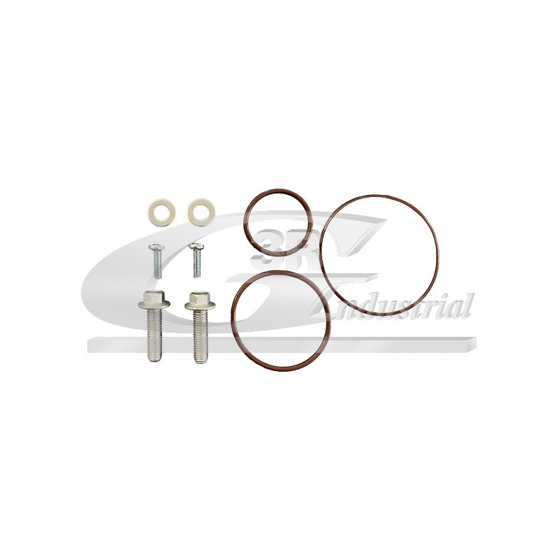 Kit Réparation Joints de Pompe à Vide Pour Peugeot Fiat Citroën Lancia 456561