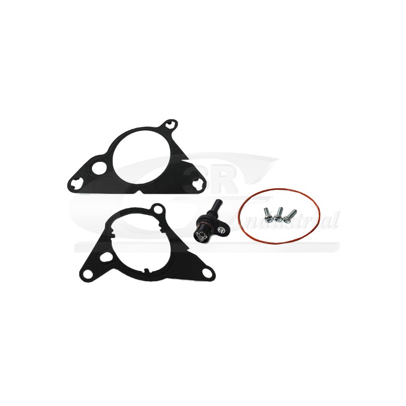 Kit Réparation Joints de Pompe à Vide Pour Peugeot Opel Fiat Citroën 3553503