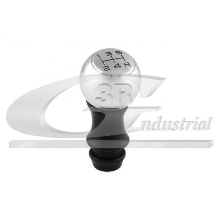 Pommeau Levier de Vitesse Pour Peugeot 206+ 207 307 308 I 1007 Citroën C2 C3 II