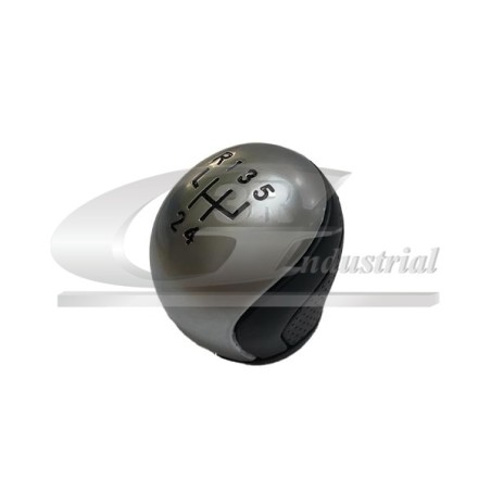 Pommeau Levier de Vitesse Pour Citroën C5 I II 2403X3