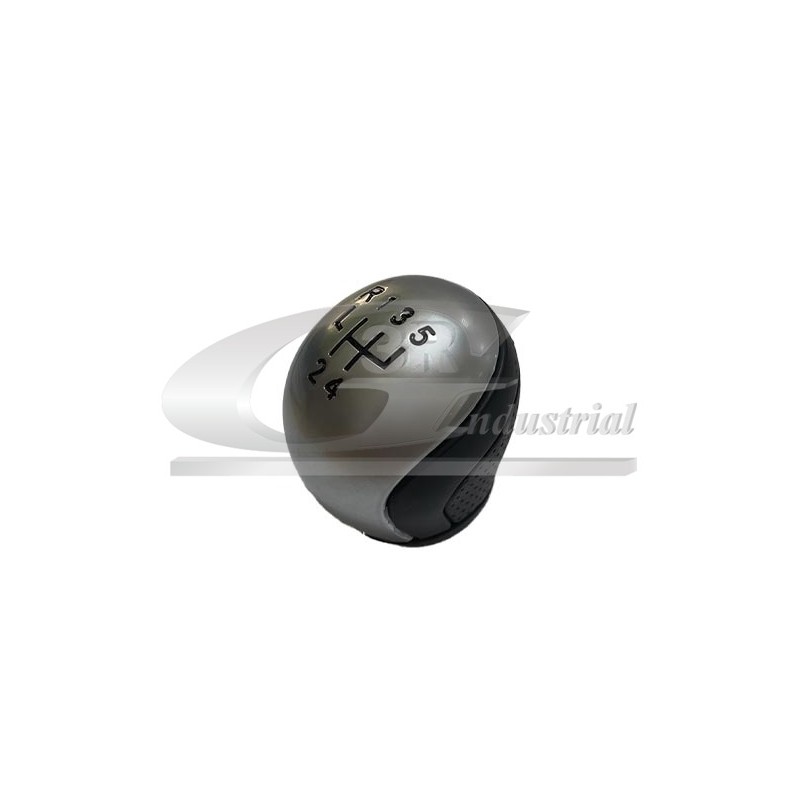 Pommeau Levier de Vitesse Pour Citroën C5 I II 2403X3