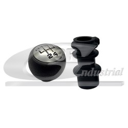 Pommeau Levier de Vitesse Pour Peugeot Fiat Citroën 2403V1 241058
