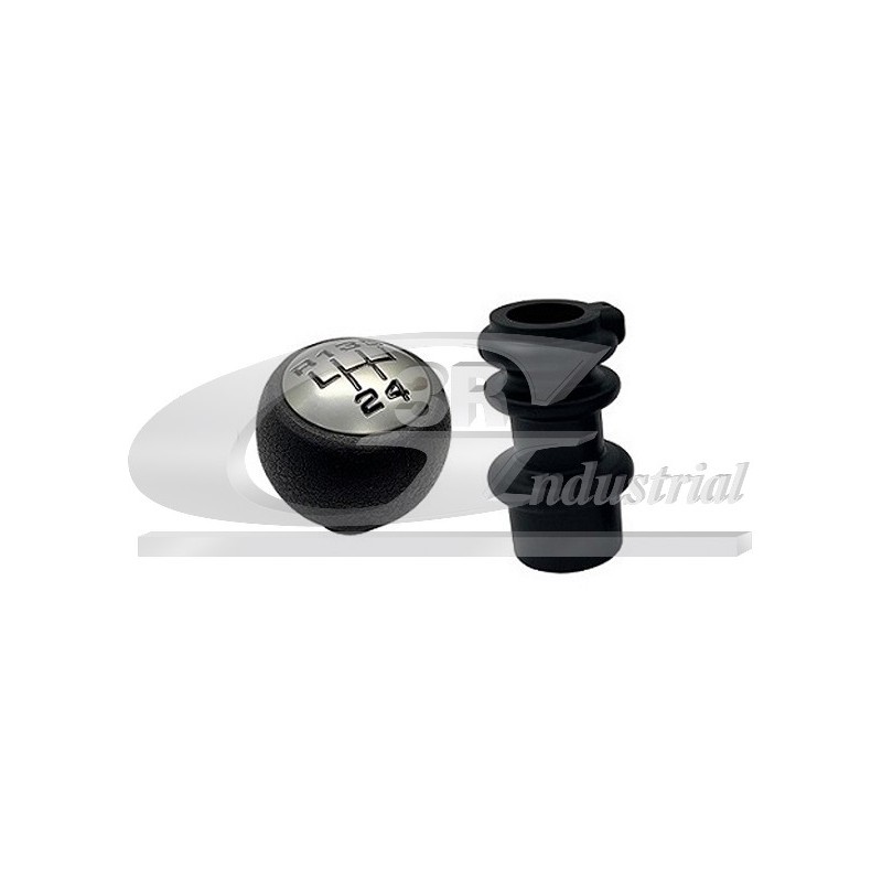 Pommeau Levier de Vitesse Pour Peugeot Fiat Citroën 2403V1 241058