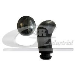 Pommeau Levier de Vitesse Pour Renault Clio III Laguna II Dacia Duster
