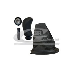 Pommeau Levier de Vitesse Pour Renault Sandero/Stepway Twingo Wind 8200079112