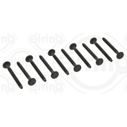 Vis De Culasse Pour Renault Opel Fiat Nissan NV300 110560195R(10x) 4423061(10x)