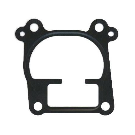Joint Collecteur Admission Pour Opel Astra G Chevrolet Vauxhall 850678 9226544