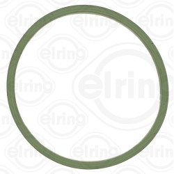 Joint Collecteur Admission Pour Peugeot Renault Dacia Opel 0382.QW 161750001R