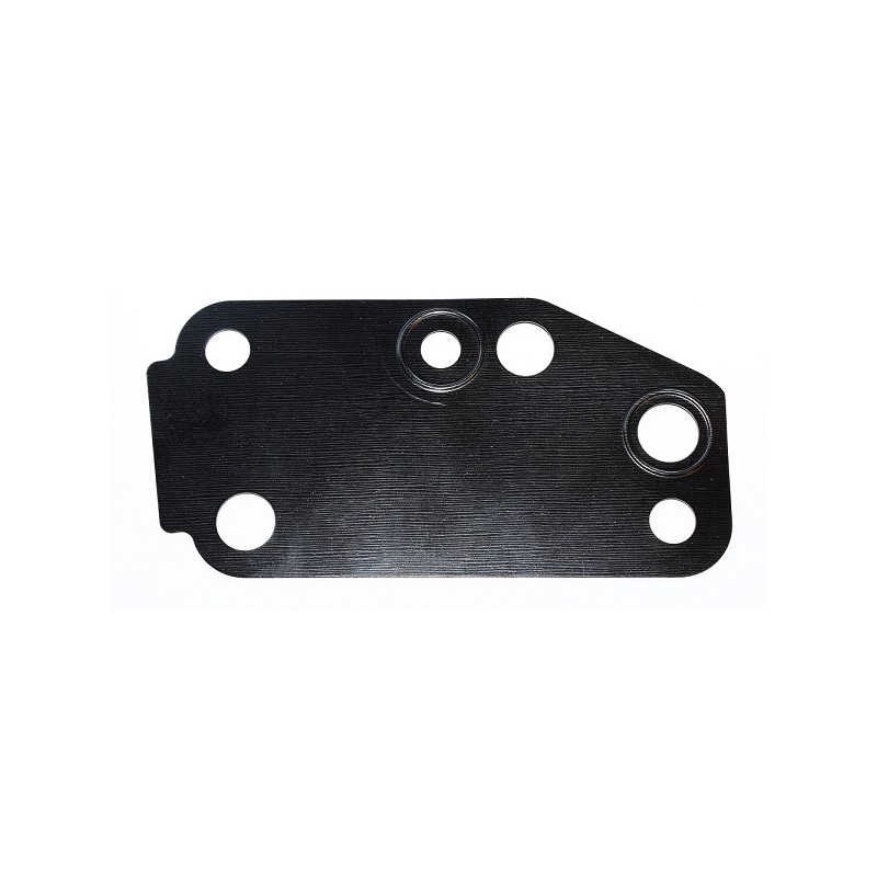 Joint Pompe À Eau Pour Ford Land Rover LDV LTI 1096559 1C1O-8K540-AA 4611835