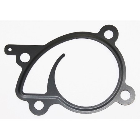Joint Pompe À Eau Pour Renault Dacia Nissan Infiniti 21014ED000 21014-1HC0A