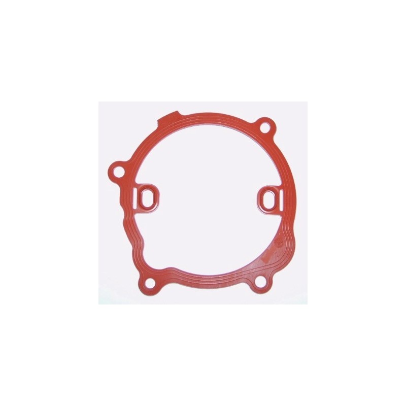 Joint Pompe À Eau Pour Renault Opel Nissan Vauxhall 8200005081 4416011 93184529