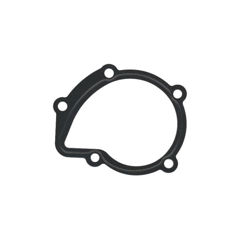 Joint Pompe À Eau Pour Peugeot Fiat Ducato Suzuki Auverland 1206.A3 17431-86CA0