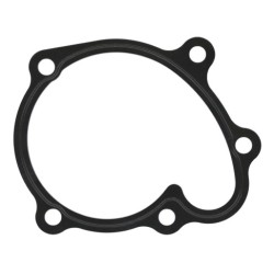 Joint Pompe À Eau Pour Opel Chevrolet Honda Vauxhall 1334728 19222-PLZ-D00