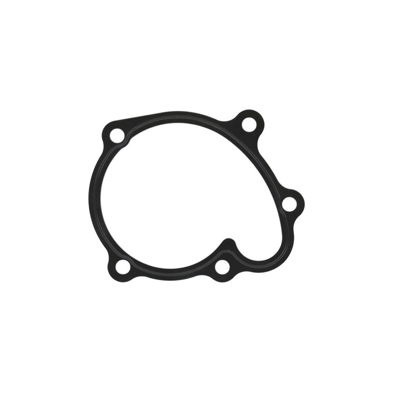 Joint Pompe À Eau Pour Opel Chevrolet Honda Vauxhall 1334728 19222-PLZ-D00