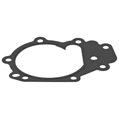 Joint Pompe À Eau Pour Peugeot Renault Clio II Dacia Nissan 1206.E1 210141861R