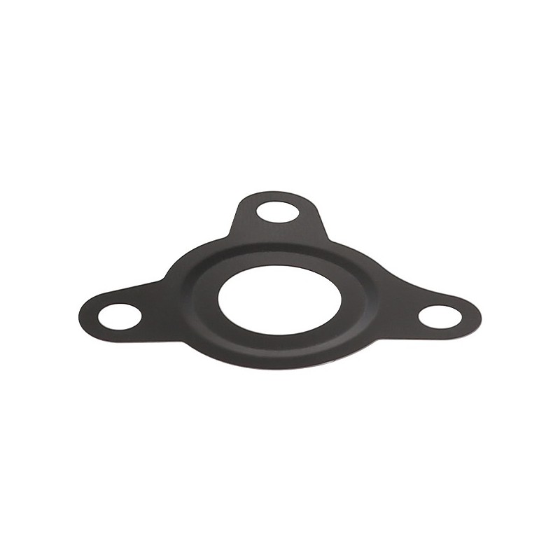 Joint Pompe Injection Pour Peugeot Opel Fiat Alfa Romeo 1933.52 815226 71754620