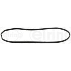 Joint Spi Carter Vilebrequin Pour VW Audi A4 A5 Porsche 059103161AD 95810116111