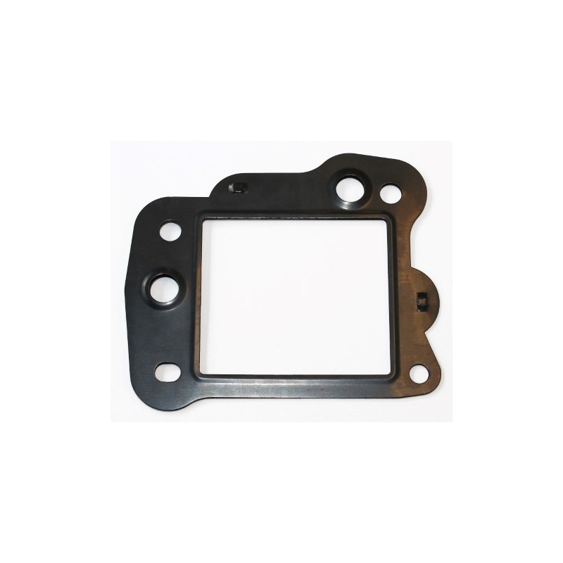 Joint Vanne EGR Pour Peugeot Fiat Ford Citroën C-Crosser C5 II III C6 1618.T2