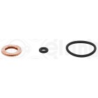 Kit Joints Injecteur Pour VW Amarok Arteon Beetle California T5 Audi Seat Skoda