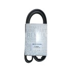 Courroie d'Accessoire Pour Renault Dacia Nissan 117209058R 1172000Q6F