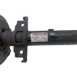 Amortisseur Avant Pour Renault Talisman 543029696R, 543022967R, 543020117R