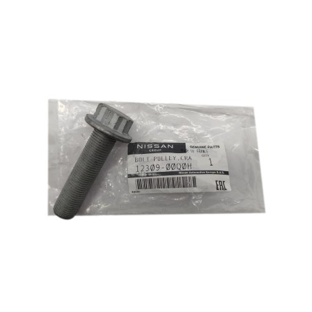 Boulon Poulie de Vilebrequin Pour Renault 123091465R, 1230300Q1J, 123034219R